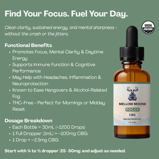 FOCUS | 3000mg CBG Tincture (Organic)