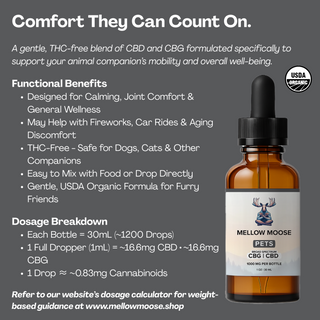 PETS | 1000mg CBD + CBG 1:1 Tincture (Organic)