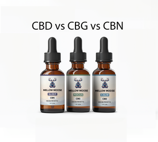 Understanding the Differences: CBD vs CBG vs CBN — A Practical Guide