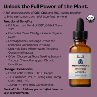 SYNERGY | 3000mg Full Spectrum Tincture (Organic)