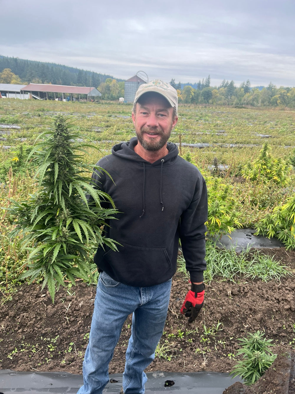 Marty standing beside a hemp plant in the family farm's field.