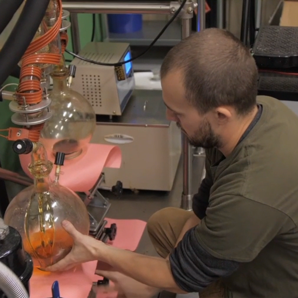 Sterling harvesting golden distillate from glass laboratory equipment.