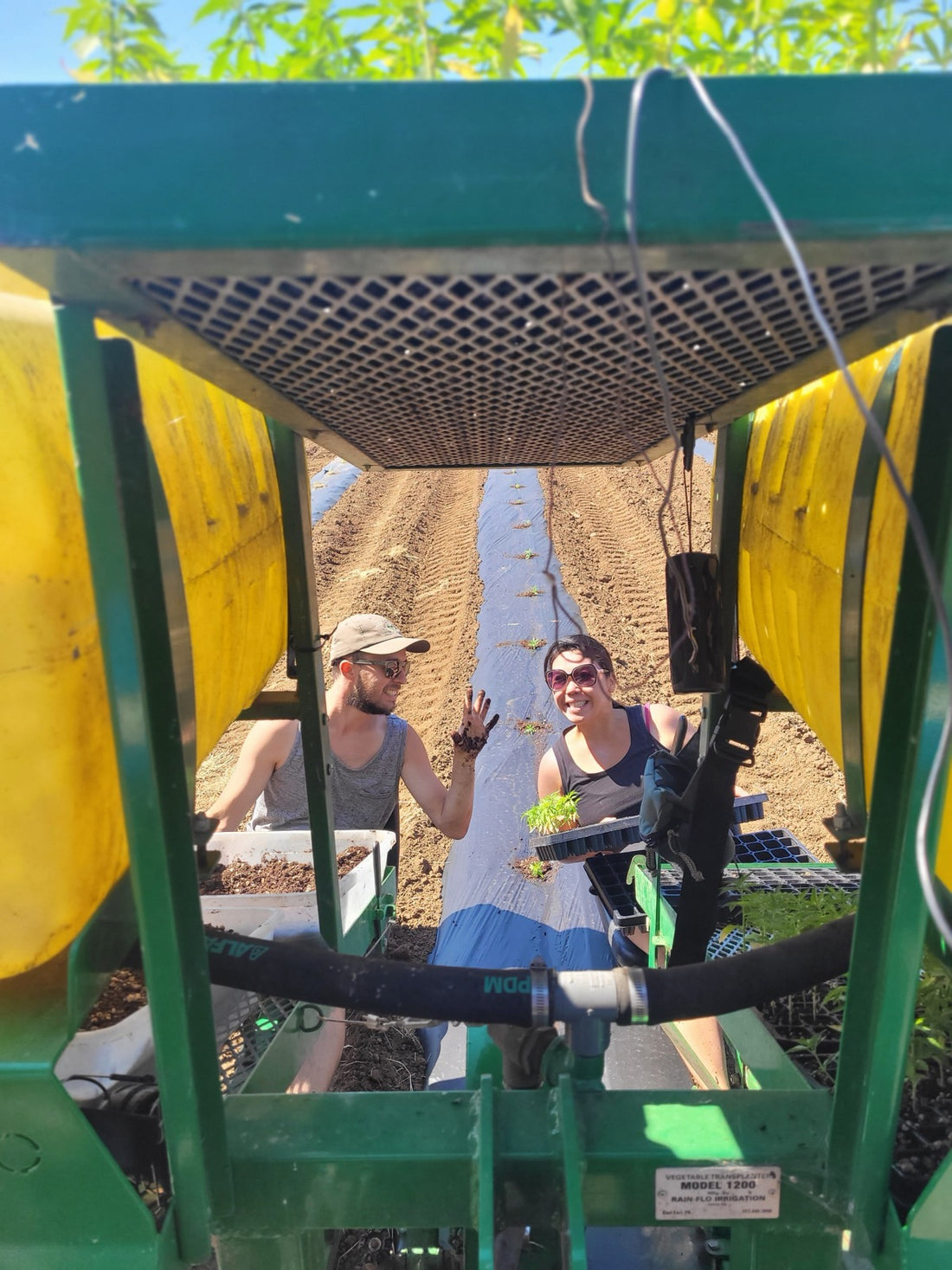 Vina and Sterling planting hemp starts together on the family farm.